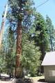 565 Trails End - Photo 36