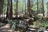 565 Trails End - Photo 40