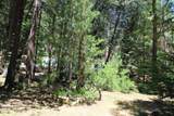 565 Trails End - Photo 42