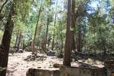 565 Trails End - Photo 48