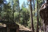 565 Trails End - Photo 49