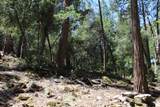 565 Trails End - Photo 52