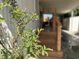 225-308 Akers Street - Photo 24