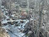 44159 Redbud Trail - Photo 8