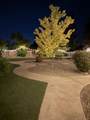 1316 Paradise Court - Photo 38