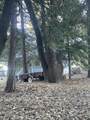 16 Coy Flat Road - Photo 14