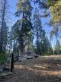 16 Coy Flat Road - Photo 16