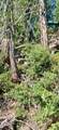 67 & 68 Mountain-Aire - Photo 10