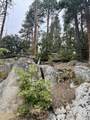 67 & 68 Mountain-Aire - Photo 12