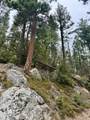 67 & 68 Mountain-Aire - Photo 13