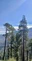 67 & 68 Mountain-Aire - Photo 20
