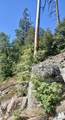 67 & 68 Mountain-Aire - Photo 8