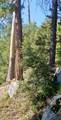 67 & 68 Mountain-Aire - Photo 9