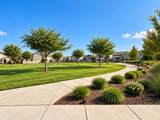 2207 Crumal Street - Photo 35