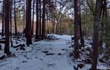 639 Trails End - Photo 45