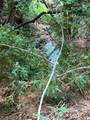 00 Old Logging Road - Photo 6