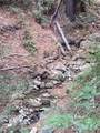 00 Old Logging Road - Photo 7