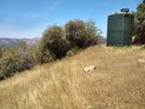 44981 Todd Eymann Rd Road - Photo 50