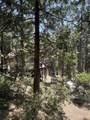 51853 Highway 190 - Photo 21