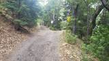  Upper River Avenue - Photo 56