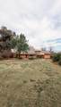 31338 Dahlem Drive - Photo 4