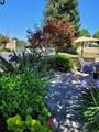 5436 Mission Ave - Photo 5