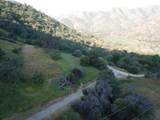 41652-2 Mynatt Drive - Photo 15