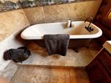 30723 Hamilton Drive - Photo 35