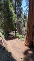54706 Cedar Drive - Photo 62