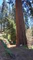 54706 Cedar Drive - Photo 63