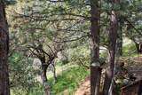 475 John Lewis Drive - Photo 60