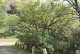 475 John Lewis Drive - Photo 71