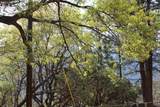 475 John Lewis Drive - Photo 75