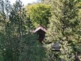 475 John Lewis Drive - Photo 76