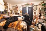 960 Morton Hill - Photo 7