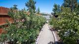 960 Morton Hill - Photo 9