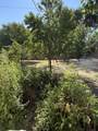 507 Linda Vista Street - Photo 9
