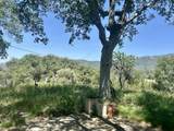 43622 Deer Creek Mill Road - Photo 44