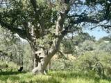 43622 Deer Creek Mill Road - Photo 45
