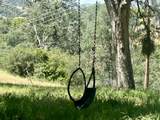 43622 Deer Creek Mill Road - Photo 46
