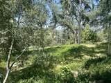 43622 Deer Creek Mill Road - Photo 48