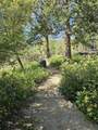 43622 Deer Creek Mill Road - Photo 9
