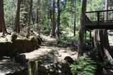 565 Trails End - Photo 45