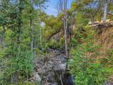 44159 Redbud Trail - Photo 65