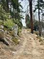 67 & 68 Mountain-Aire - Photo 5