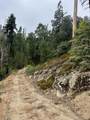 67 & 68 Mountain-Aire - Photo 6
