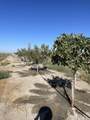  Ave 24 Avenue - Photo 8