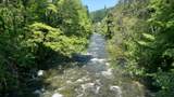  Upper River Avenue - Photo 6