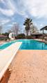 31338 Dahlem Drive - Photo 7
