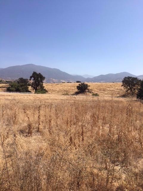 0 Mill Drive - Photo 1